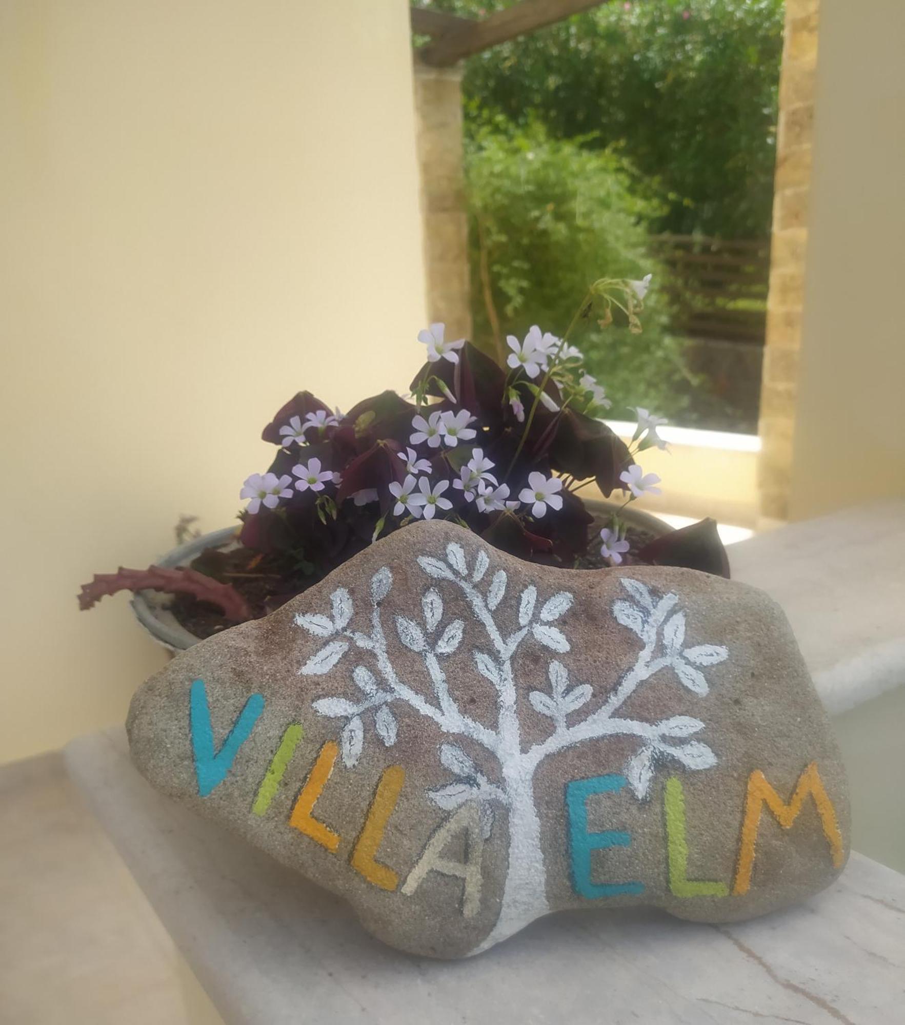 Willa Elm *
