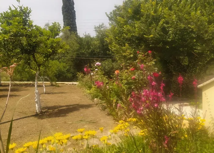 Villa Elm
