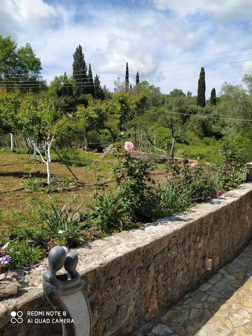 Villa Elm *